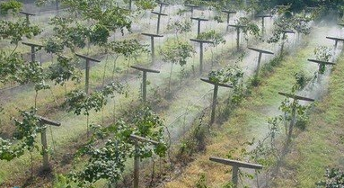 山东果园节水灌溉厂家,节水灌溉设备厂家直销