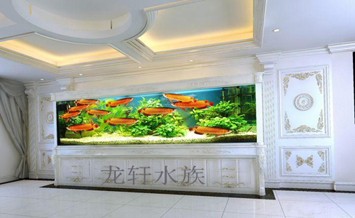 秦淮区鱼缸订做报价