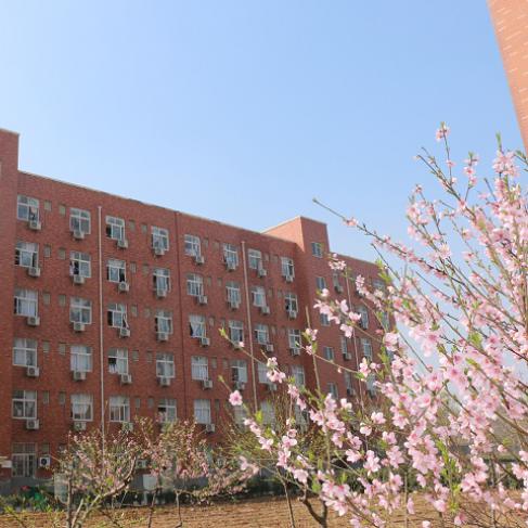 洛阳科技职业学院电子商务学院有什么特色