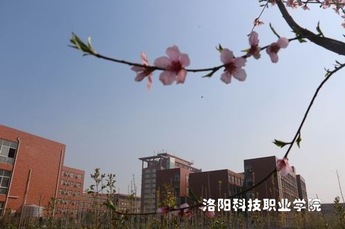 旅游文化学院是洛阳科技职业学院下属的二级学院.