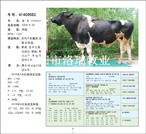 德国黄肉牛冻精出售