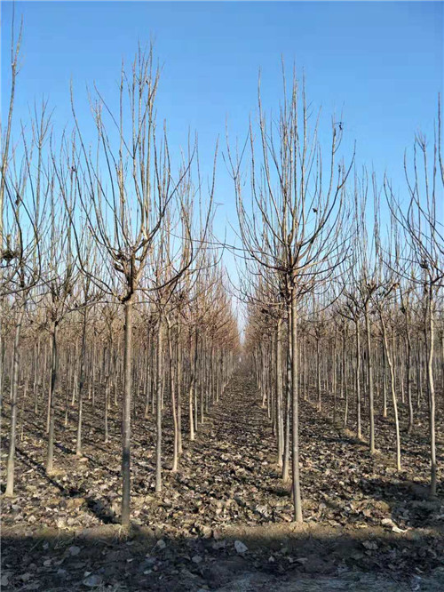 企业商机_供应资讯【东莞,基地 全球机械网