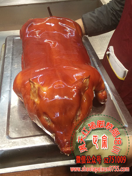 烤乳猪培训 满天红烧猪培训品牌先锋