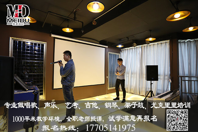 南京一对一声乐个性化的教学方案