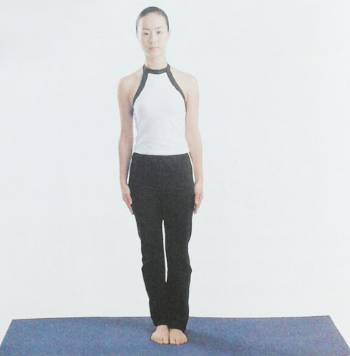 厦门瑜伽培训教程_纠正脊柱_山式