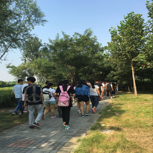 河北衡水复读班怎样提分快,衡水高三补习班成