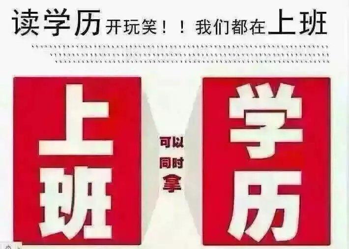 读大学是否属于成人教育是什么意思 - 老友网