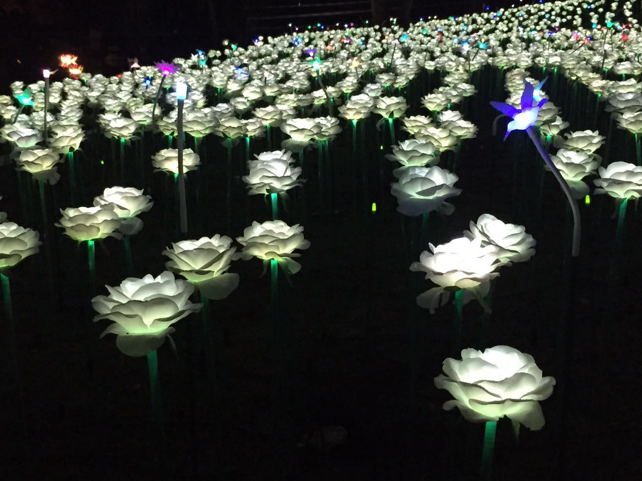 水上飞行器价格 水上飞行器表演价格 水上钢铁