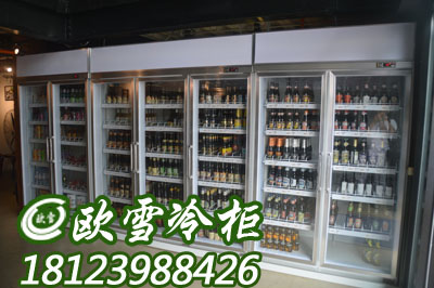 杭州双门饮料柜 杭州哪里有便利店冷柜工厂 哪