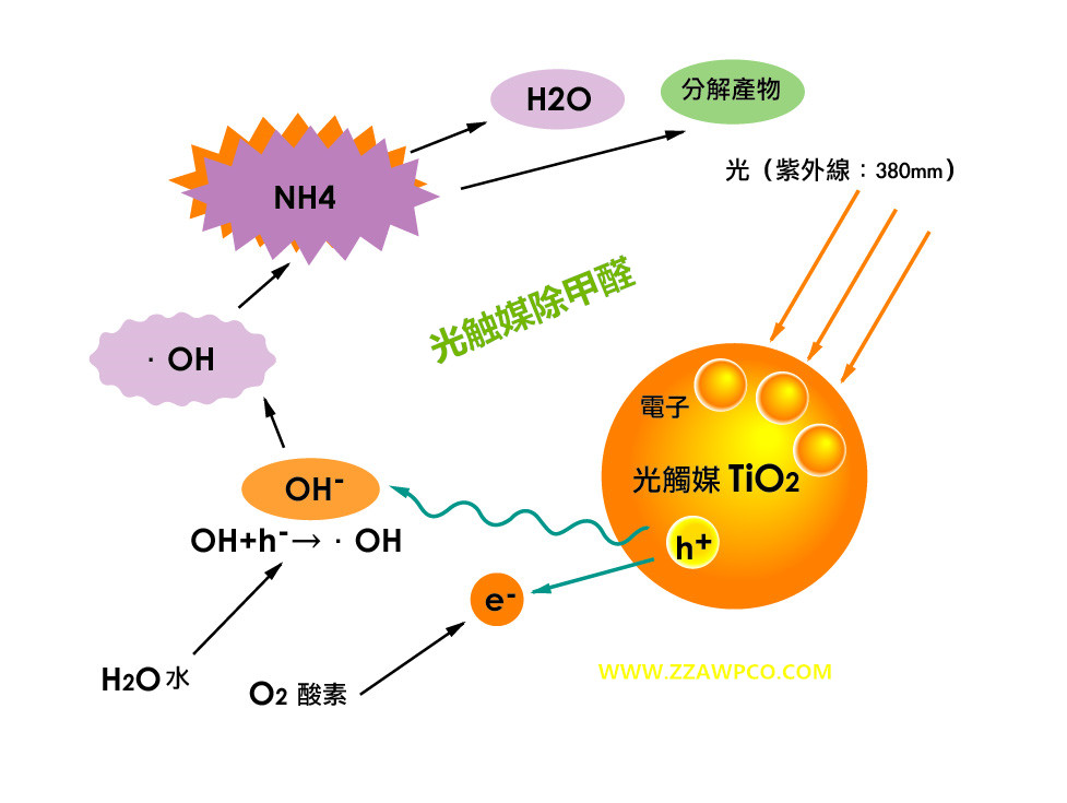 低预算旧房翻新｜佛山人别被竹炭坑了！四招科学除甲醛