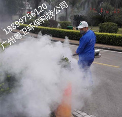 广州专业杀虫公司|广州杀虫服务公司 - 专项服务