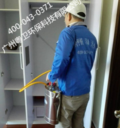 广州专业灭臭虫公司|广州灭臭虫的方法