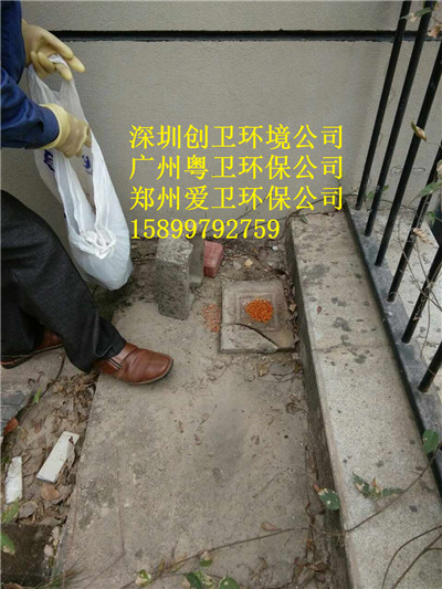 深圳杀虫灭鼠公司的电话和地址