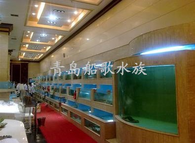 青岛海鲜池_青岛海鲜美食图片大全_海鲜超市门头图片