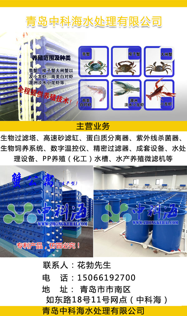 致富经养河虾_致富经养虾_致富经淡水虾养殖视频