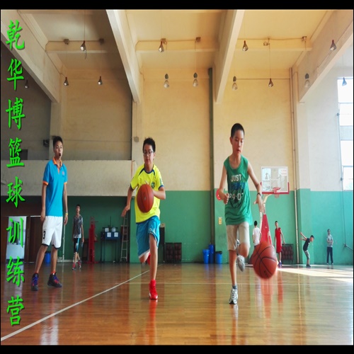 成都武侯外双楠青少年篮球培训重点班 - 教育培