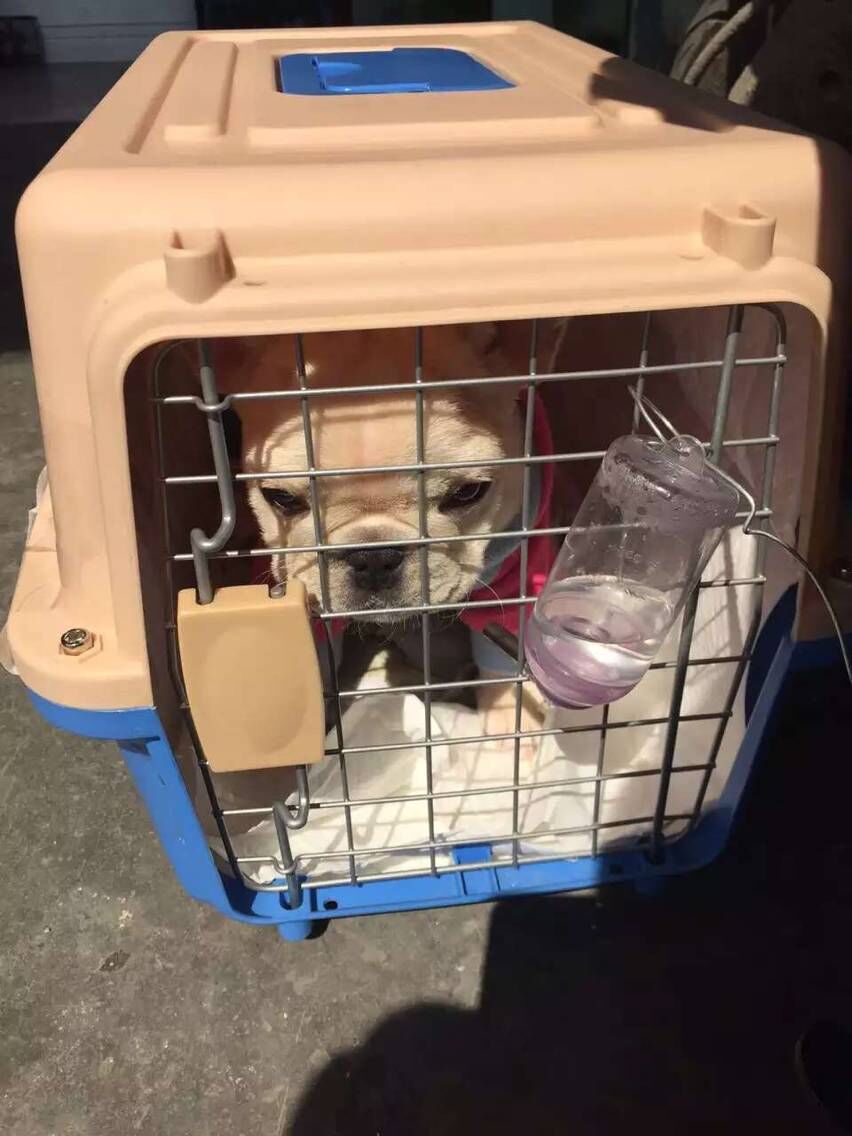 杭州萧山机场行李托运怎么联系