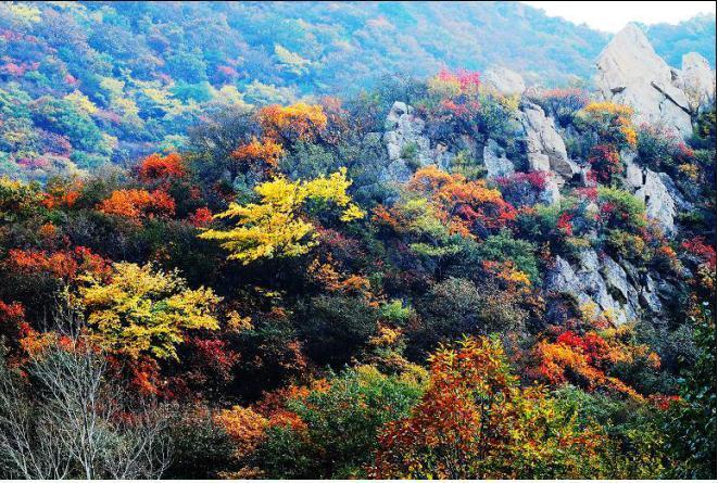 棋盘山风景区,河北棋盘山地址,石家庄周边旅游