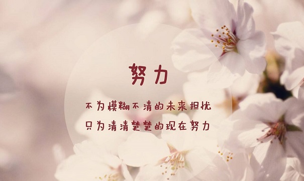 引流脚本 八戒引流如何日引5000+活粉经验分