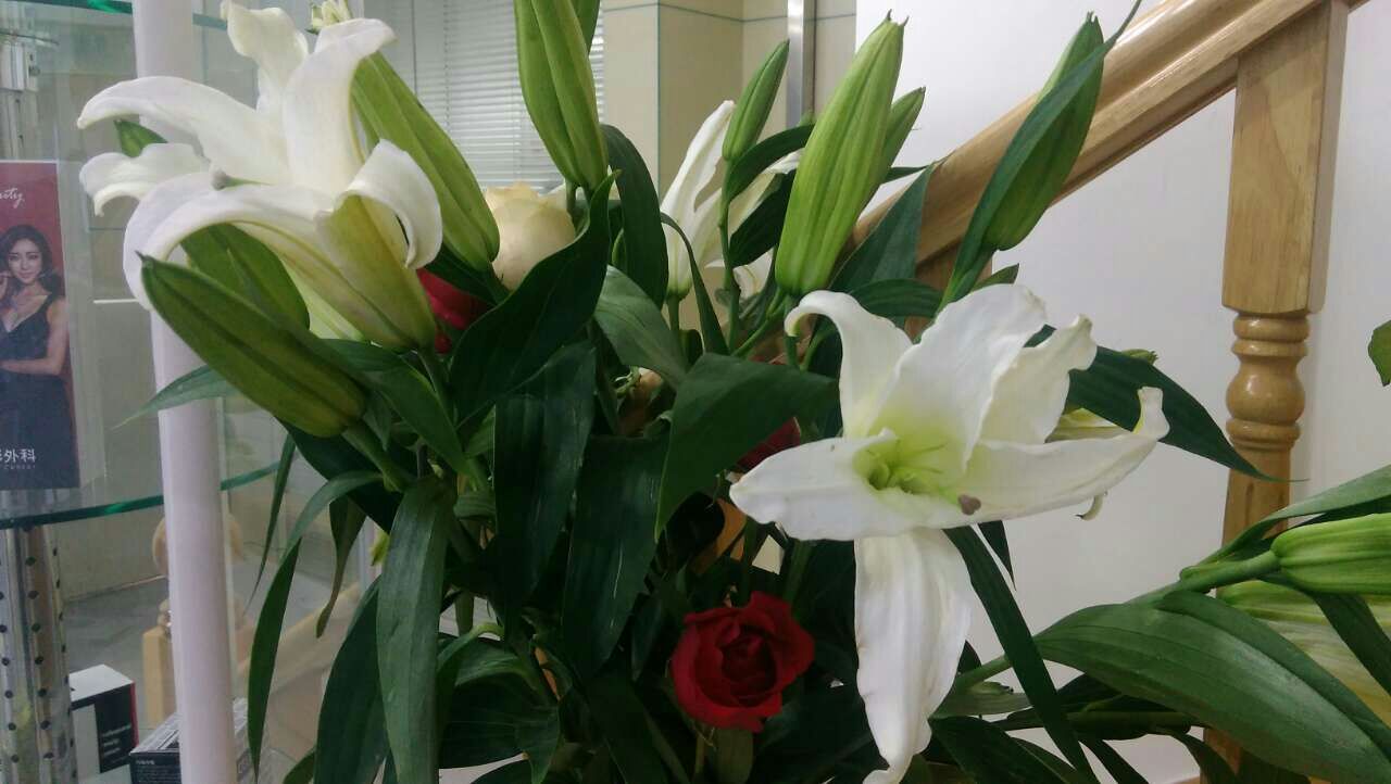 郑州专业学纹绣培训去哪里好学会干什么工作好