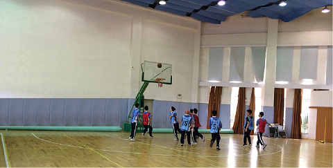 上海普陀区篮球专业培训 篮球技巧训练 篮球训