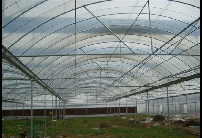 供应临沂pc阳光板温室大棚每平米造价多少钱