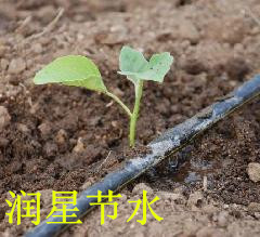 温州优质内镶式滴灌带价格,专业批发价格低廉