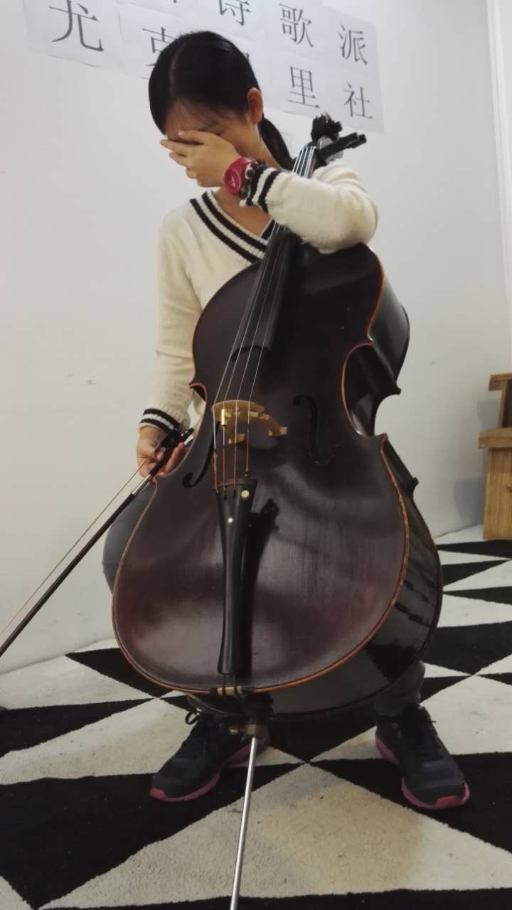 零基础成人学大提琴的培训机构