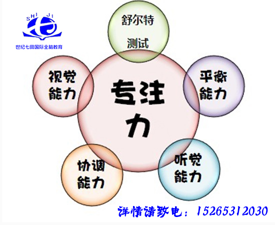 关于专注力的分散原因