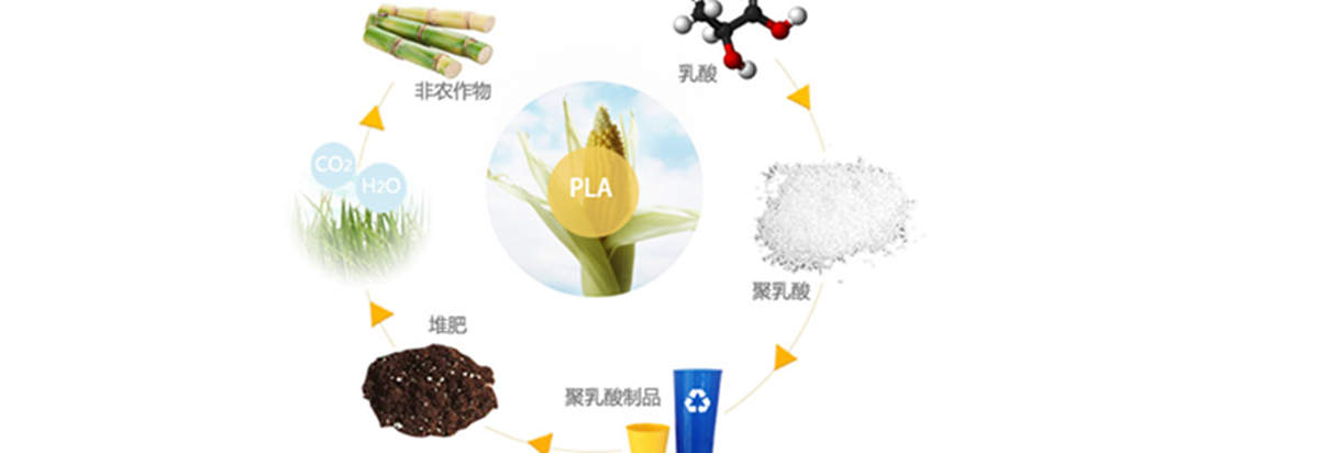 江苏玉米纤维厂家,诚信经营记心间