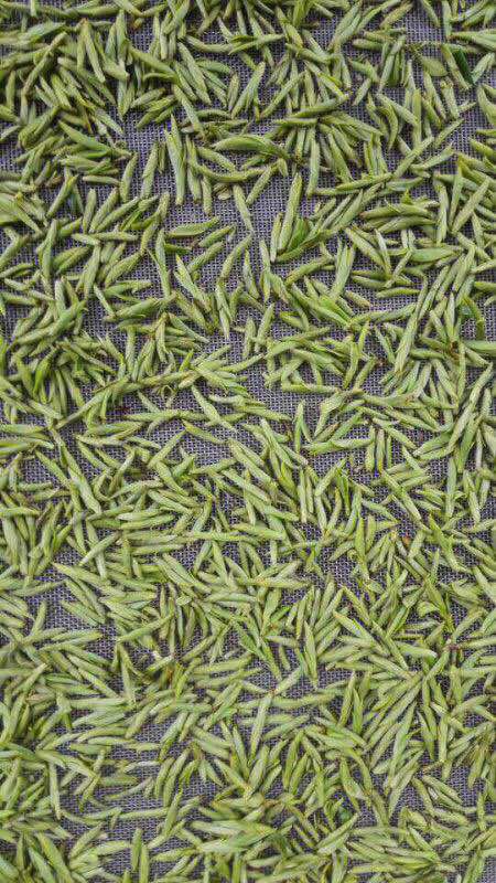 宝山区茶艺培训找翰华 - 深圳酷易搜