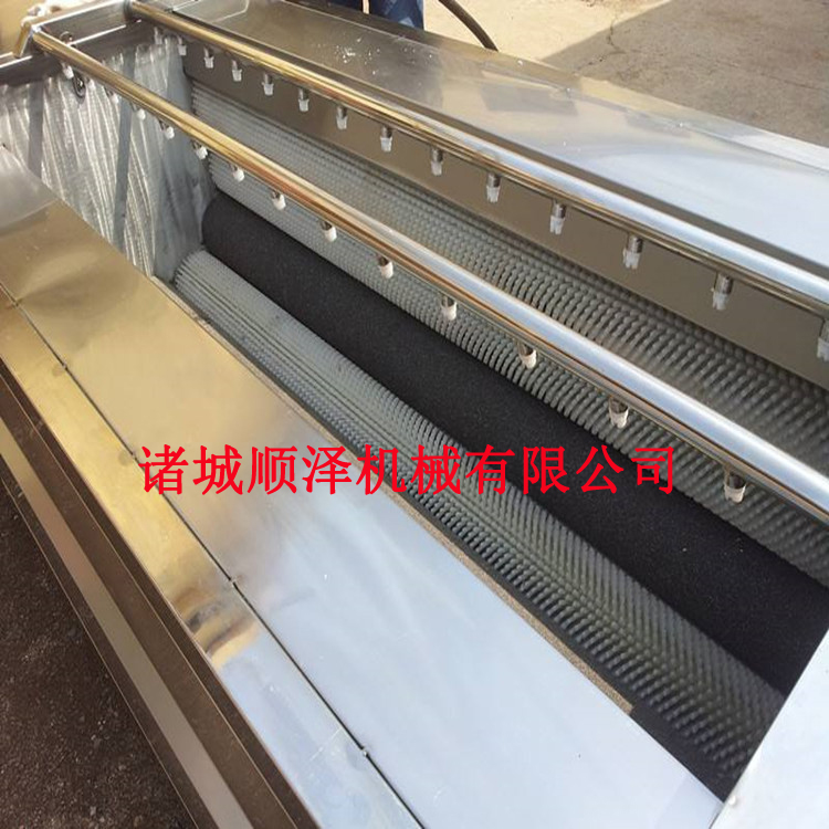 新疆大枣清洗机价格 毛刷清洗机 不锈钢清洗机(图1)