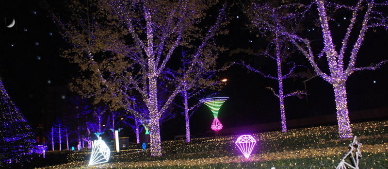 无需加盟费的项目低成本挣钱项目节能灯组装节