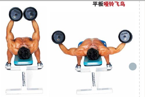 教你锻炼胸肌的最快方法