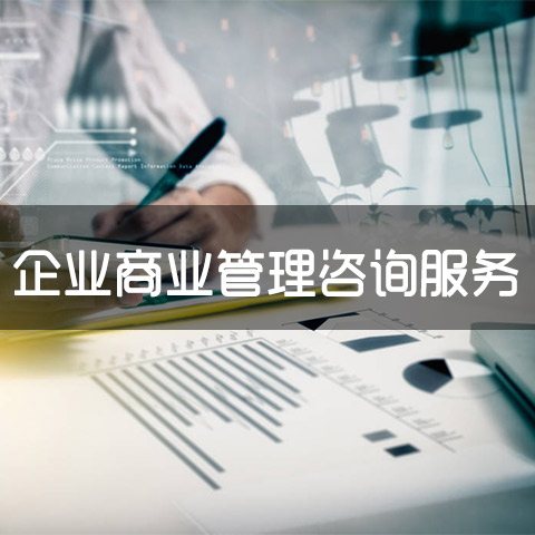 企业商业管理咨询服务