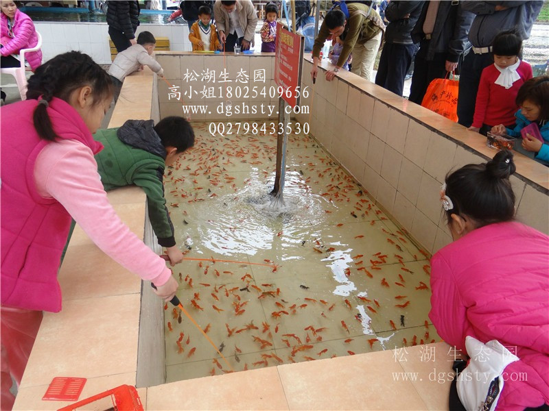 东莞同学聚会好去处 东莞团队活动策划公司 部