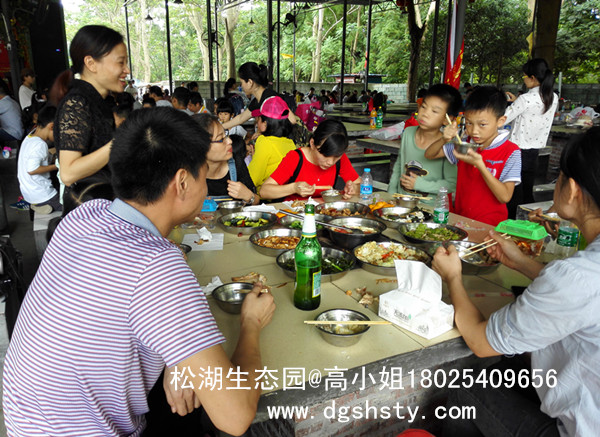 东莞朋友聚餐的地方,松山湖烧烤野炊场   山庄休闲娱乐 ( 免费5d电影