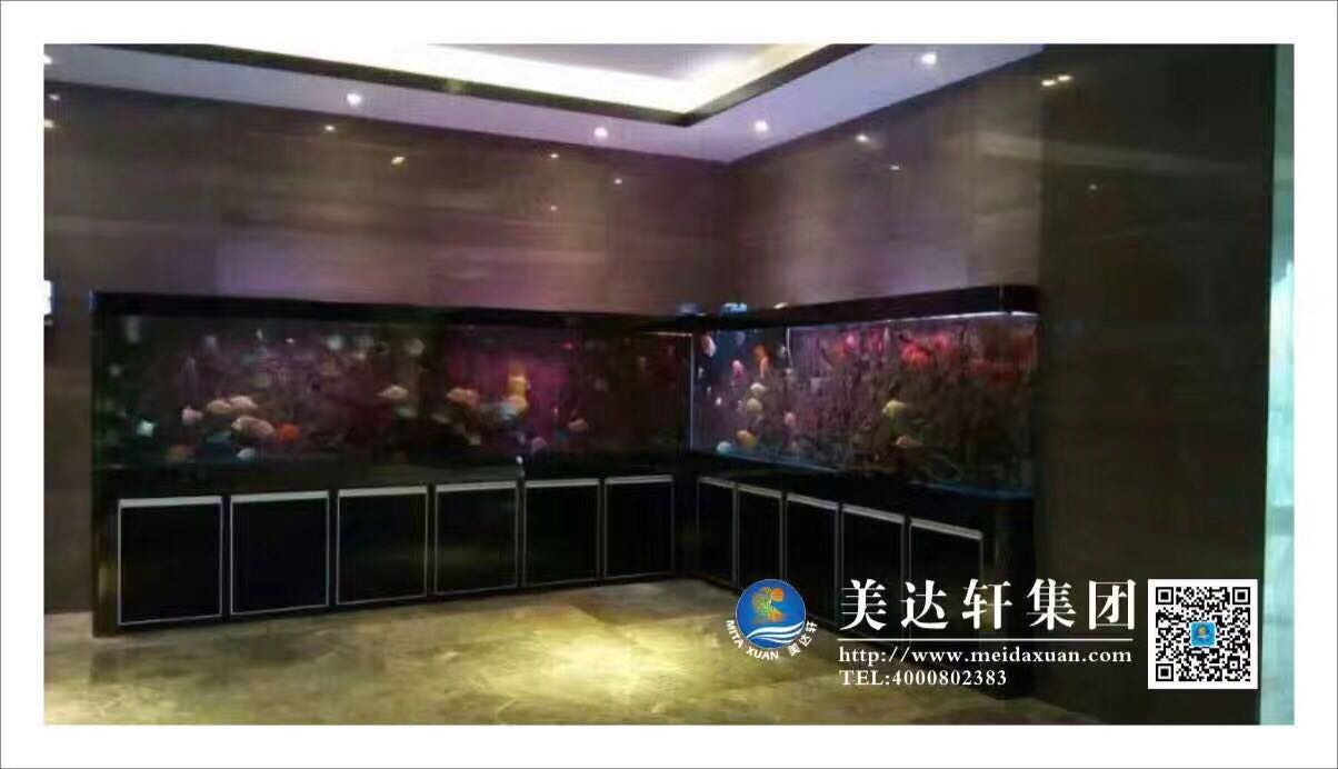 深圳龙岗订做大中型观赏鱼缸,实木高端龙鱼缸