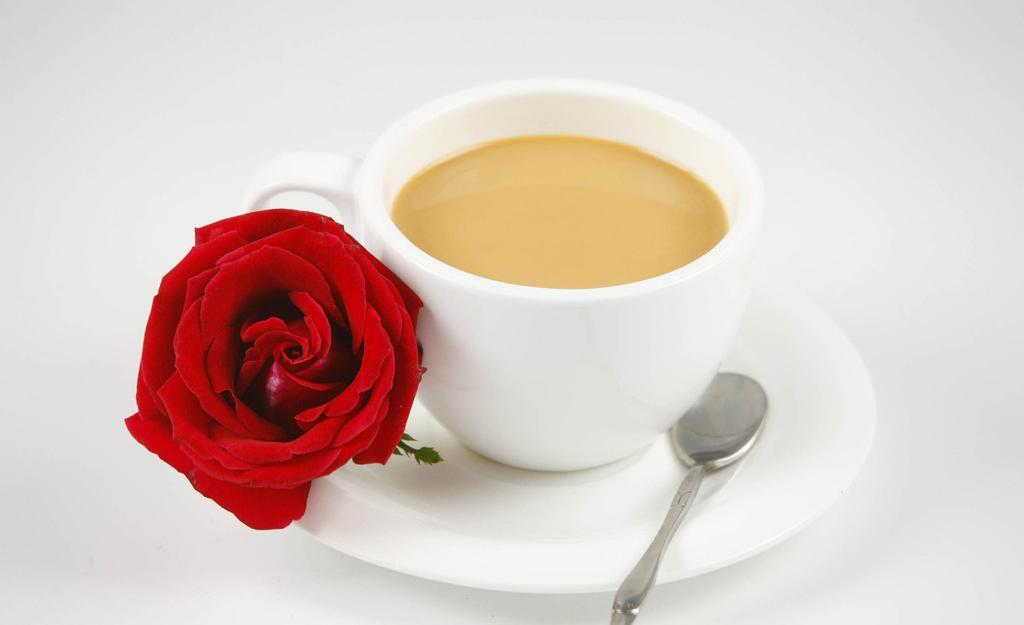 深圳奶茶加盟_深圳千味坊奶茶店培训加盟