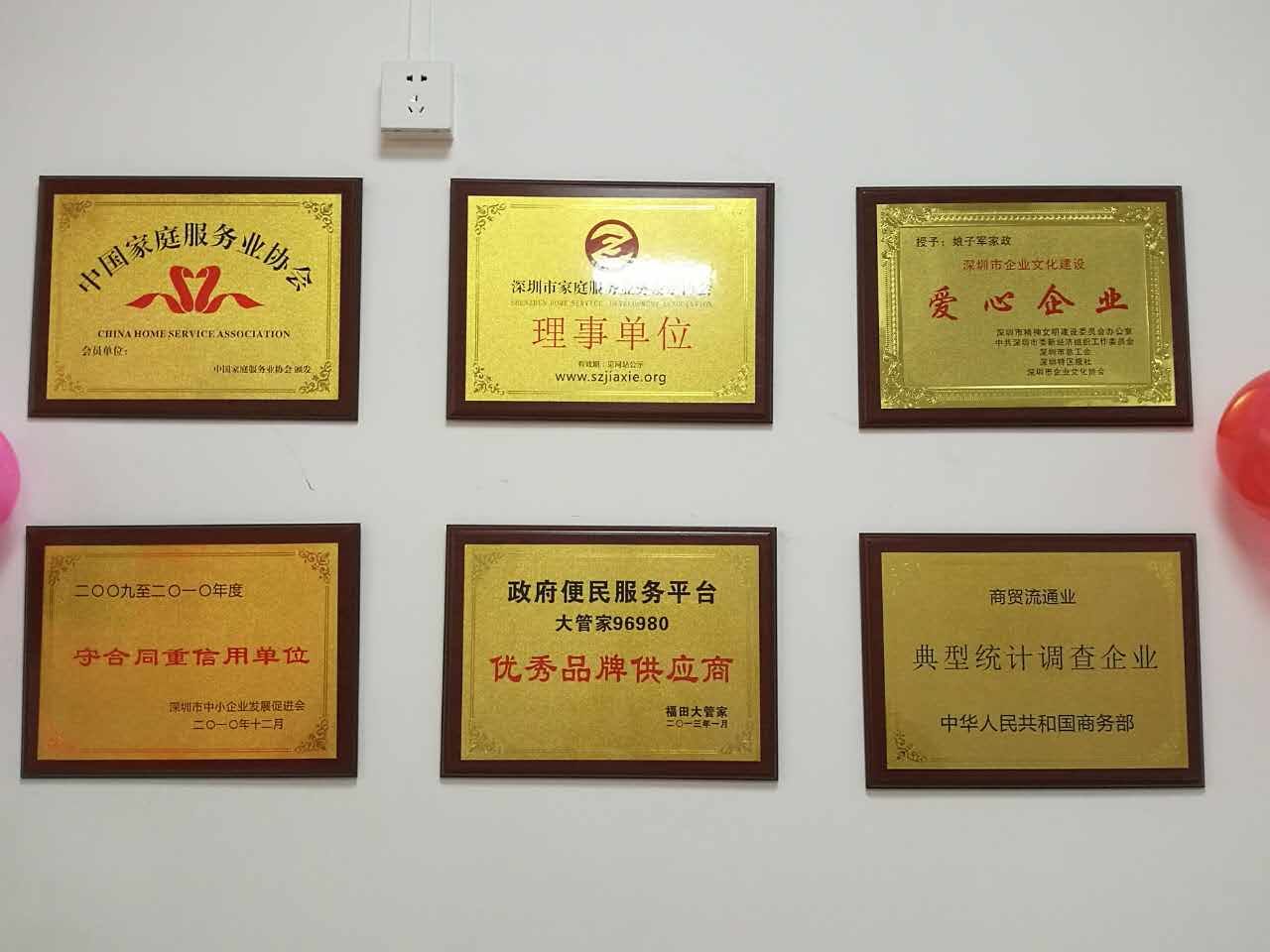 南昌娘子军家政公司,高端家政