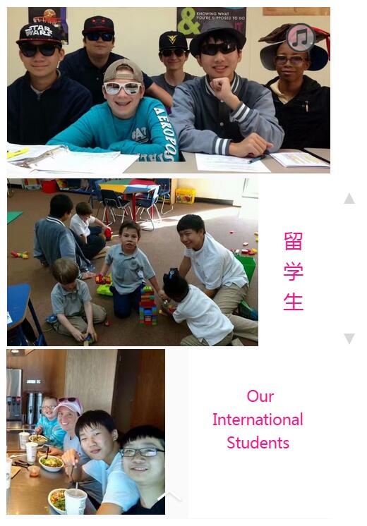 经济总量用什么英语表示_经济用图案表示(2)