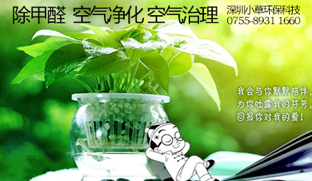 深圳除下甲醛要多少钱?室内空气治理怎样收费的?