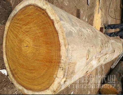 惠州客户百分百满意的防腐木地板厂家,质量过