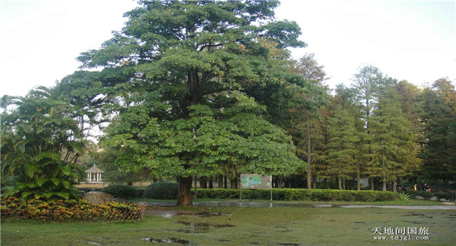 南山区有什么公园|深圳沙井旅行社南山区景点