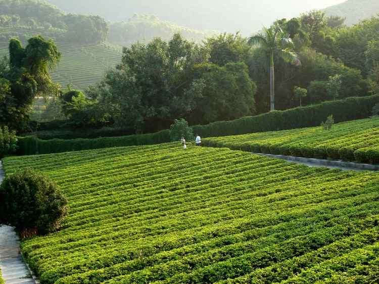 梅州好玩的景点有哪些?|深圳沙井旅行社
