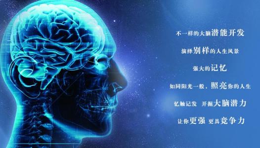 才智大脑 才智大脑