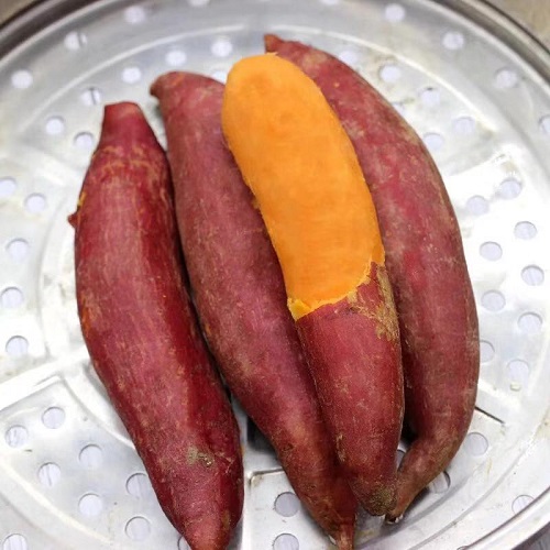 山东哪里有红薯供应厂家 山东红薯批发市场 红