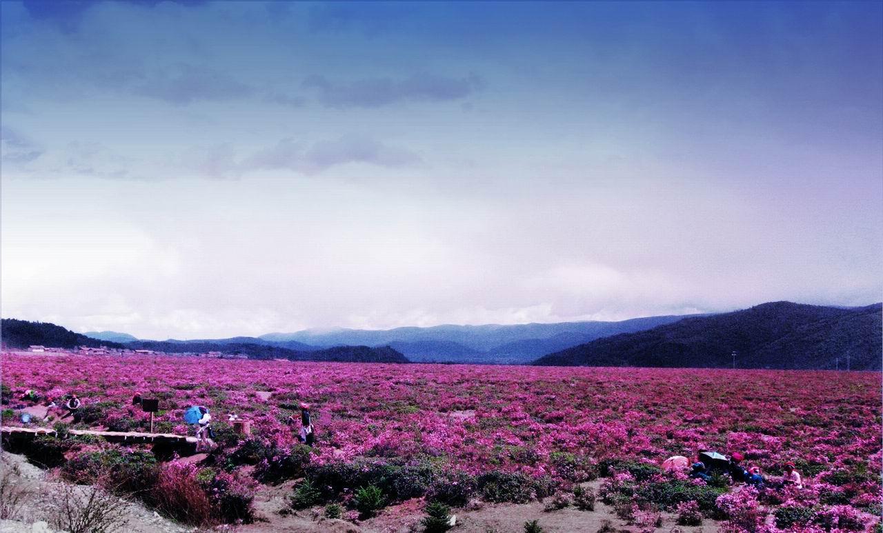 成都到香格里拉走的沿途美景自驾游详情介绍