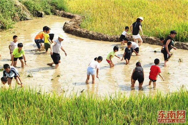 广州青少年研学旅行-知识就是力量,博灏教育改变命运