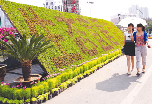 园林花坛花报价, 植物立体绿化造型 ,花坛造型设计厂家